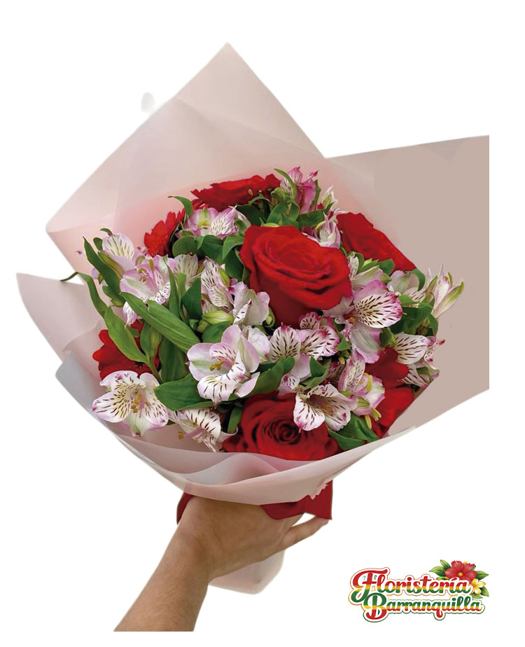 Alegría de Amor