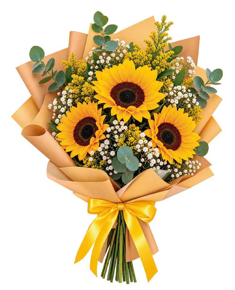 Cielo de girasoles