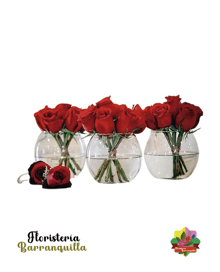Elegancia Natural