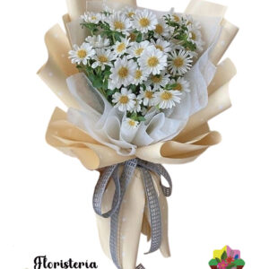 Ramo de flores de margaritas