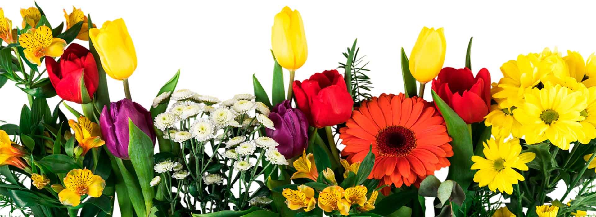 Tienda-de-flores-Barranquilla
