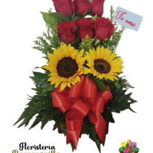 Rosas Premium